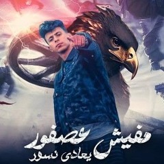 مفيش عصفور بيعادي نسور _ محمد البصيلي