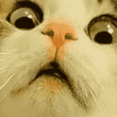 coffee super (super duper short cover)