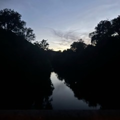 reflection