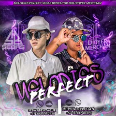DMDJ[B2B]SBDJ PERFECT MELODIES
