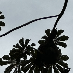 livin like this / me on guitar