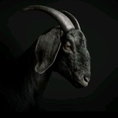 NAVYBOII SA X TONIC MOJOR DJ-TSHWARA NYANA REMIX