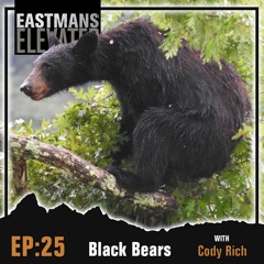 Episode 25:  Black bears with Cody Rich