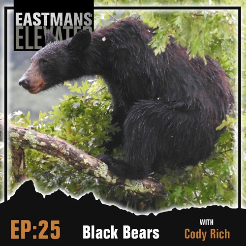 Episode 25:  Black bears with Cody Rich