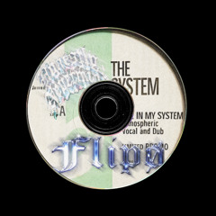 You're In My System X Flight's Booked (FLIPØ MASHUP)