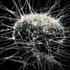 Synapse