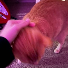 spinning around all alone (thinking of who you love obv)