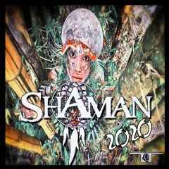 ShaMaN -- TekThis -- (2020 reedit)