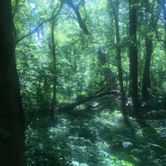 [81uu] Naamah & Satan - seein green #VODECI