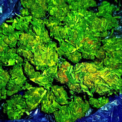 Берем на всех и будет успех (feat. Падонок 15 улицы)