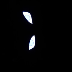 2)xallxin(low)