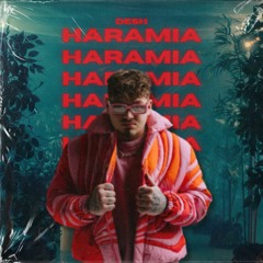 Haramia (LAWME Remix)