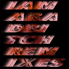 IAMABADBITCH (Perkuthor Remix)