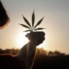 Colorado Grass (Redux)