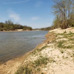 Brazos In My Bones - Stefan Prigmore