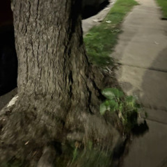 Runnin In Place