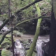 CREEKSIDE CRANK