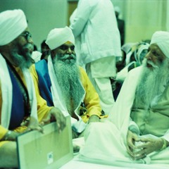 July 2001 - ਤੁਮ ਹਰਿ ਸੇਤੀ ਰਾਤੇ ਸੰਤਹੁ ॥