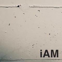 iAM (Original Mix)