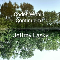 Codes Within Continuum