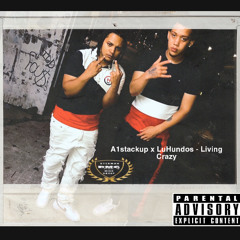 A1stackup x LuHundos - Living Crazy