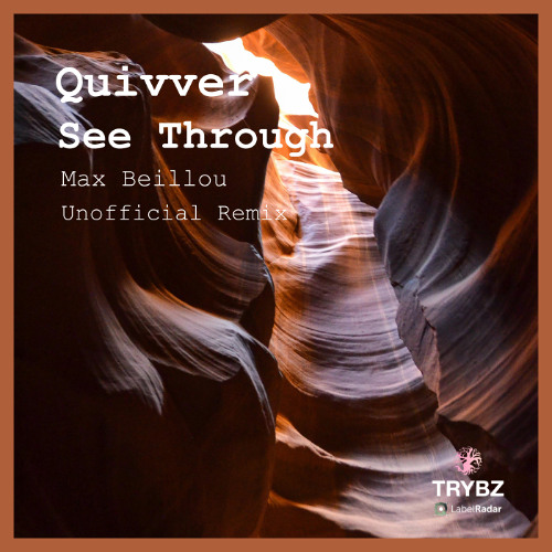 Quivver - See Through (Max Beillou Unofficial Remix) [Free Download]