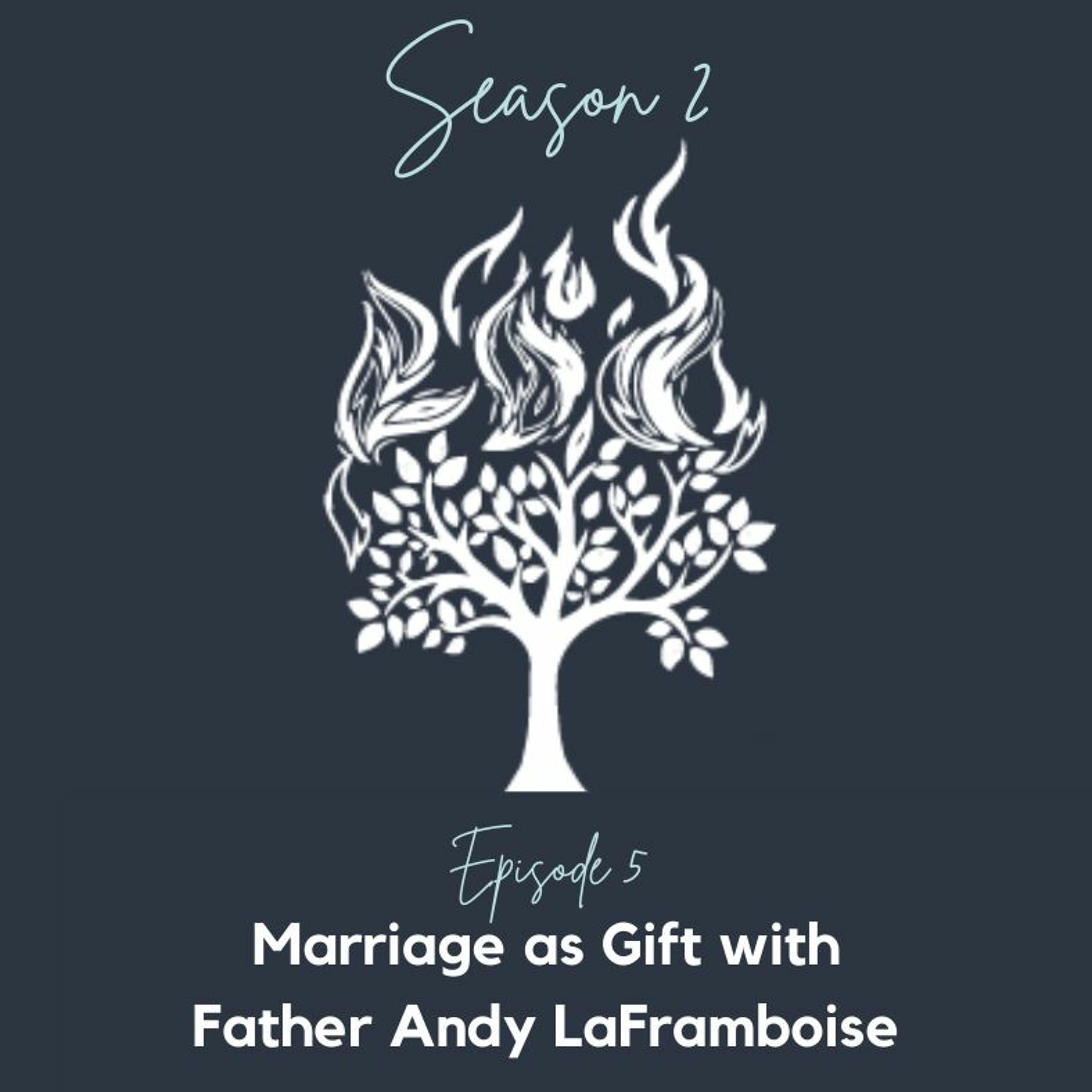 Cause for Joy Podcast