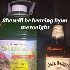 drunk + high + fucked up bithday party mix 2025 @stepaindahouse