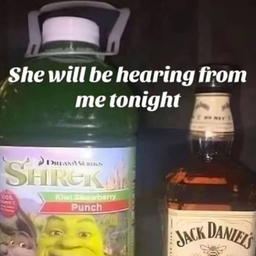 drunk + high + fucked up bithday party mix 2025 @stepaindahouse