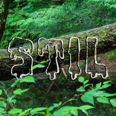 JPEGMAFIA X Danny Brown - SCARING THE HOES (STIL Remix)