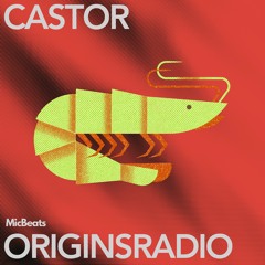 Castor - Melodic Techno Mix