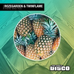 Rozegarden, Twinflame - There Was You [Top Shelf Disco]