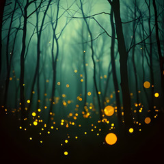 CANZONI DEL BOSCO - LE LUCCIOLE CANTANO  - RELEASE - Sirius