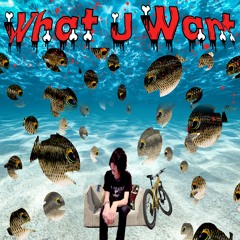 What U Want 8===D (lonestar)