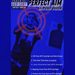 BIPPING MUSIC feat.(MTS skyhigh)