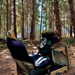 NEXUS - The Forest Gathering