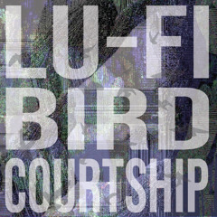 Bird Courtship (Original Mix)