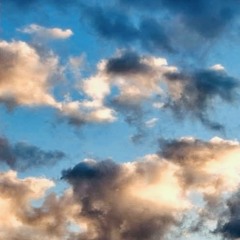 The Tender Soul (with Michel Custine)