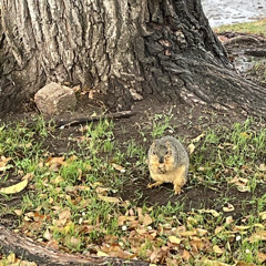 The Righteous Dudes Podcast:008