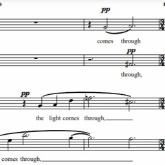 light through leaves - Harlequin Choir (2022)