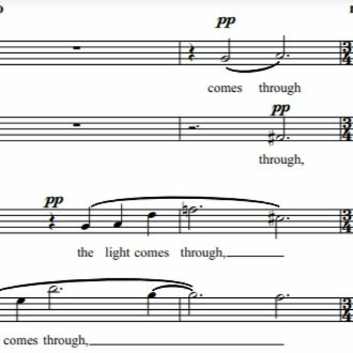 light through leaves - Harlequin Choir (2022)