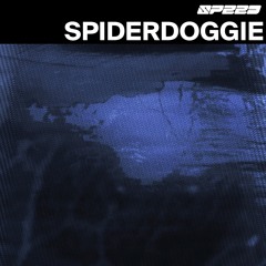Spiderdoggie  | SPEED 速度 | 007