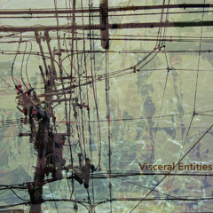 Visceral Entities (excerpt)