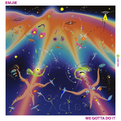 EMJIE- All I Wanna Do Is (Acid)