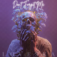 Don't Forget Me
