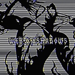 Schizophoria - WhereDidIGoWrong? (Prod) UV6X7