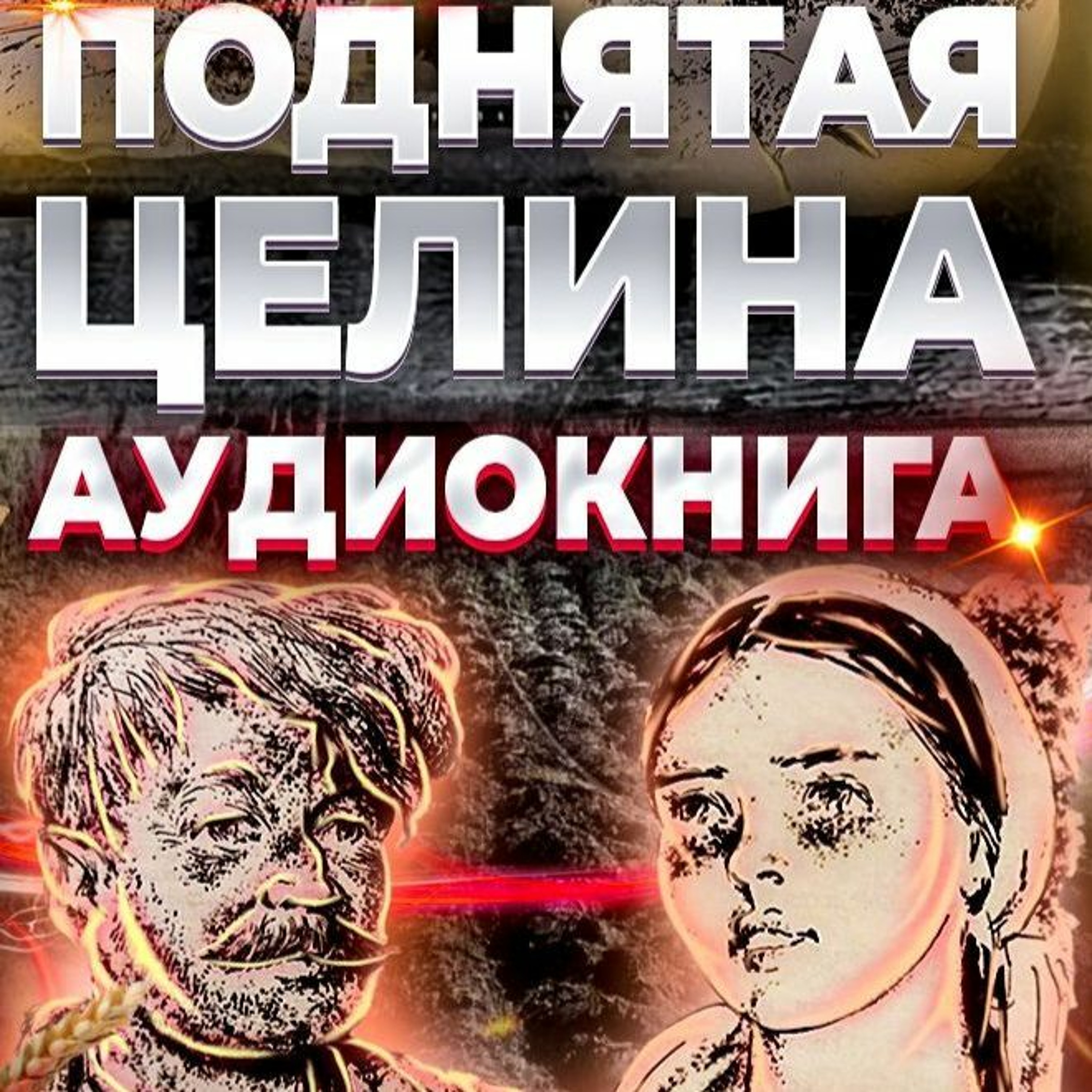 Поднятая Целина. Аудиокнига. Книга 1. Глава 11, Урок 11. episode artwork