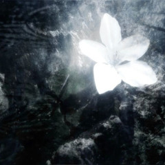 Spark