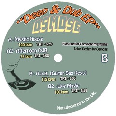 G.S.K. (Guitar Sax Keys) vinyl preview [118 bpm] SCR-026