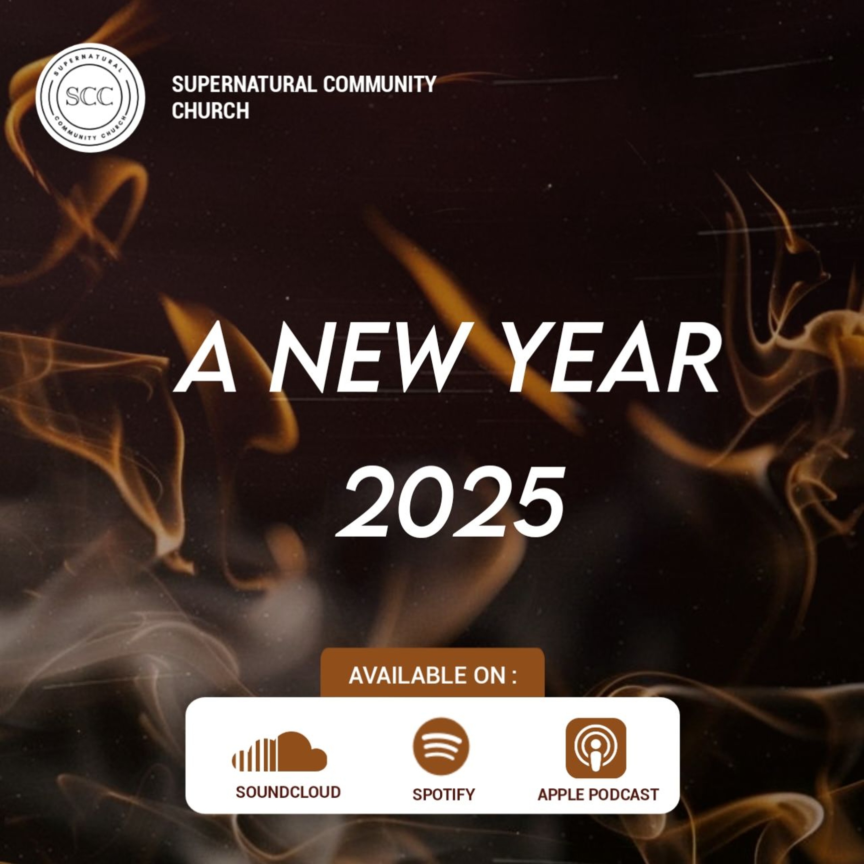 A New Year (2025)